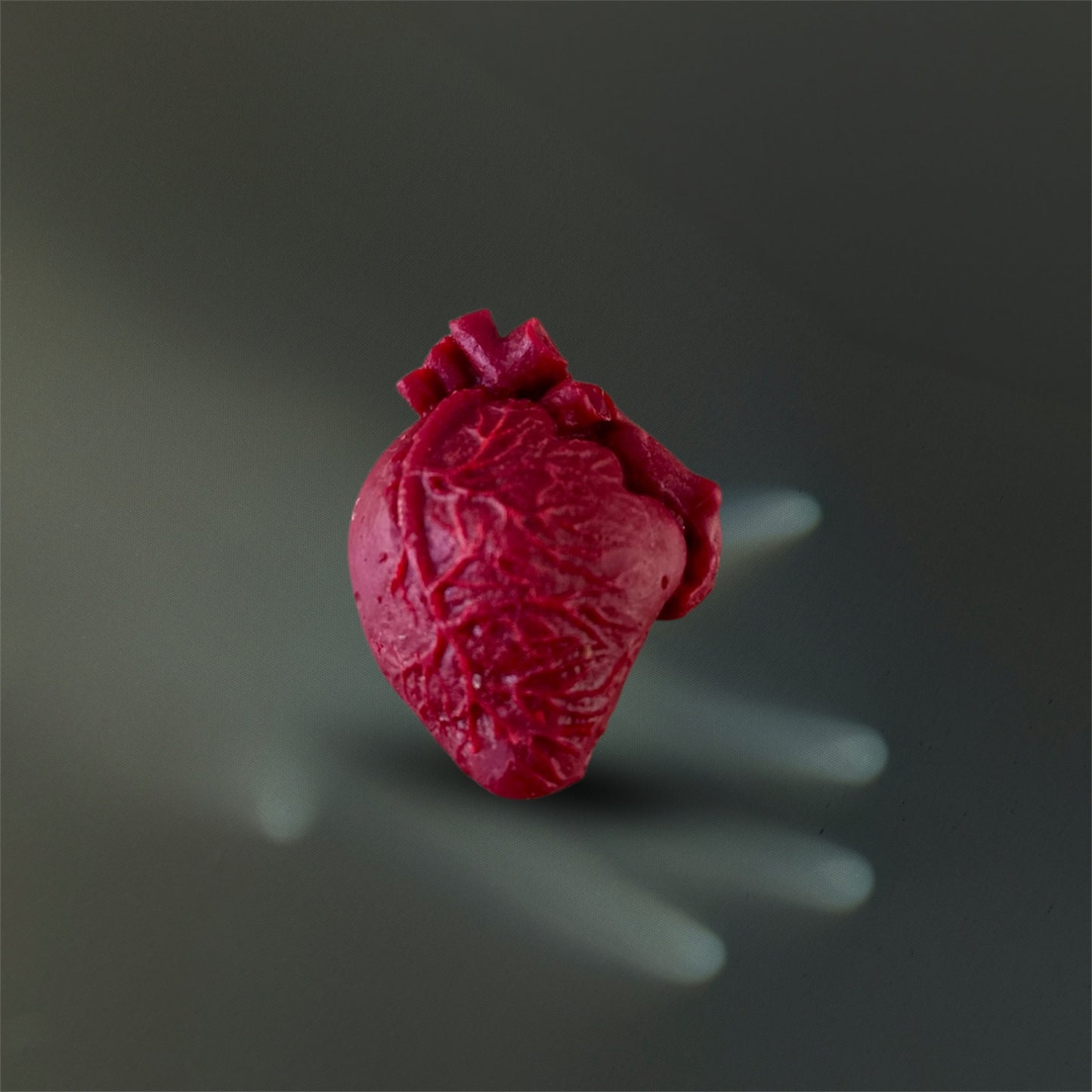 Anatomical Heart Wax Melt Shape