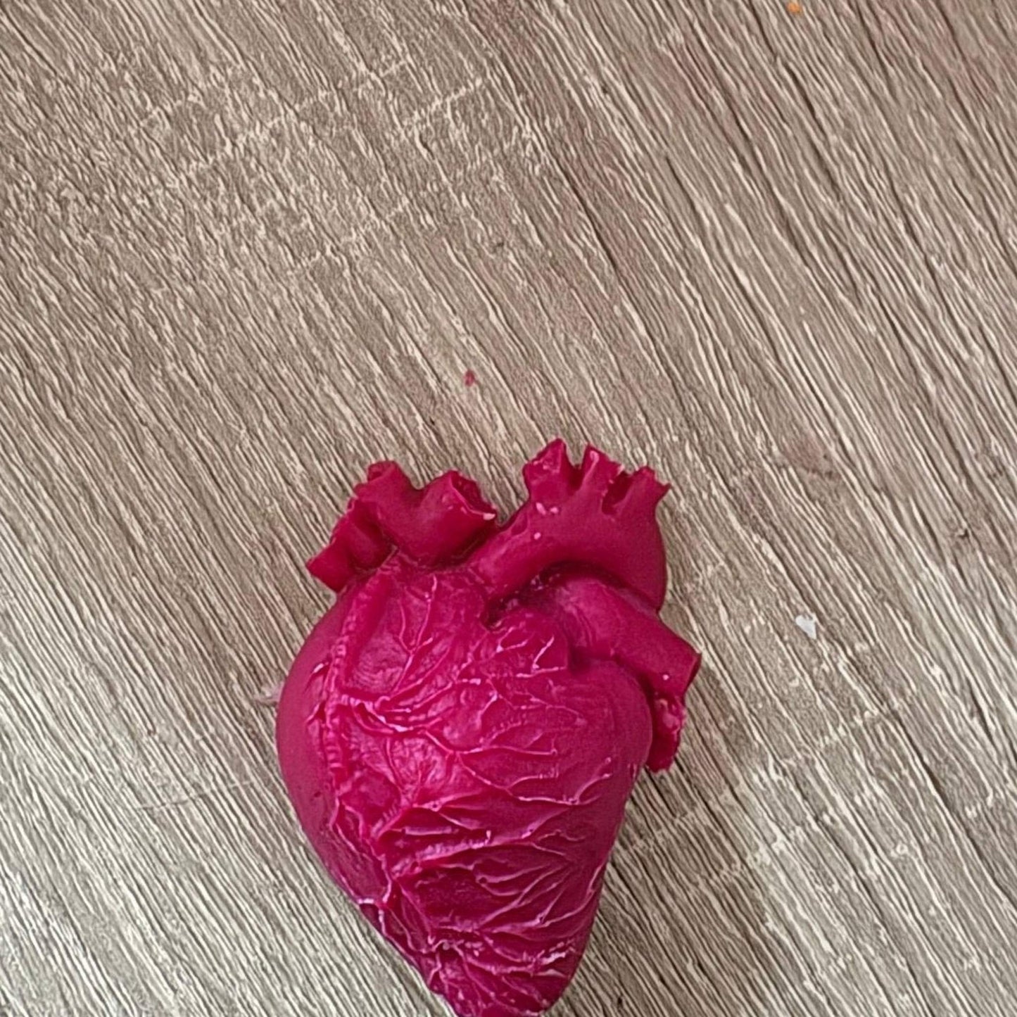 Anatomical heart - Marshall Melts