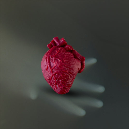 Anatomical Heart Wax Melt Shape