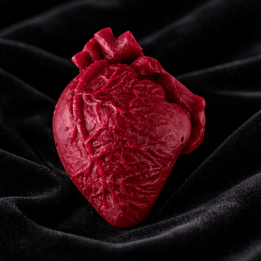 Anatomical Heart - Marshall Melts